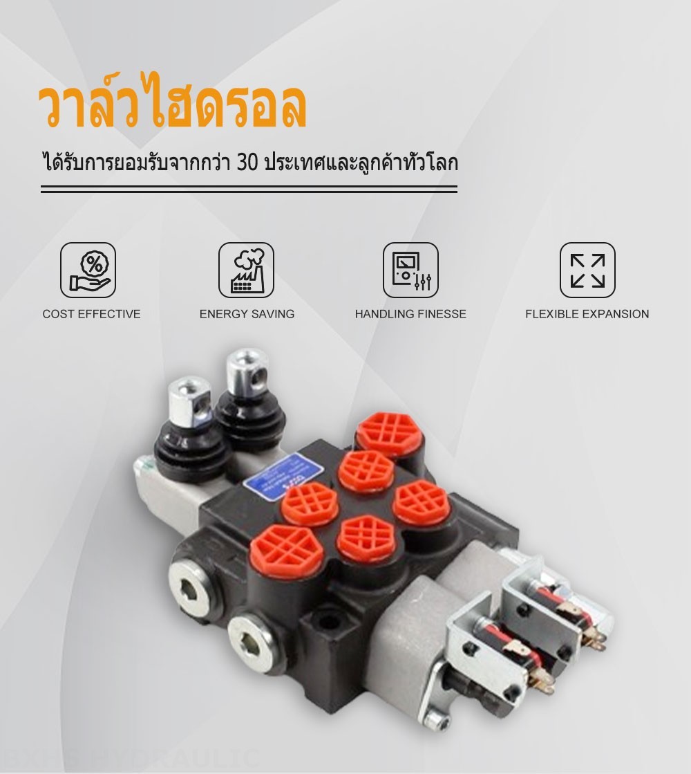 P40 Micro Switch ด้วยตนเอง 2 สปูล วาล์วทิศทางโมโนบล็อก